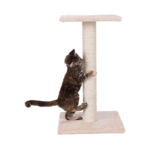 Espejo Scratch Post 69cm Beige