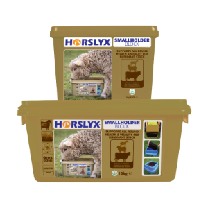 Horslyx Small Holder Block  4x5kg