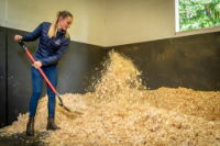 BedMax Shavings 18kg