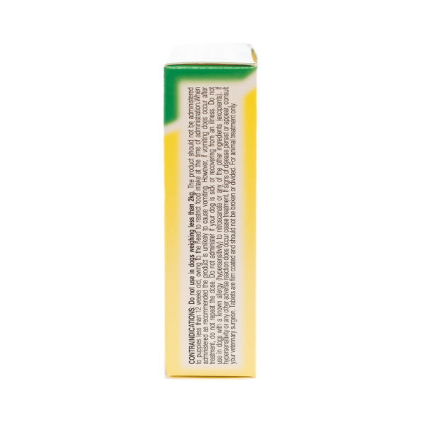 Easy Dose Wormer Dog No 1   x3  x6