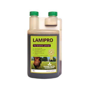 GH LamiPro 1 Ltr