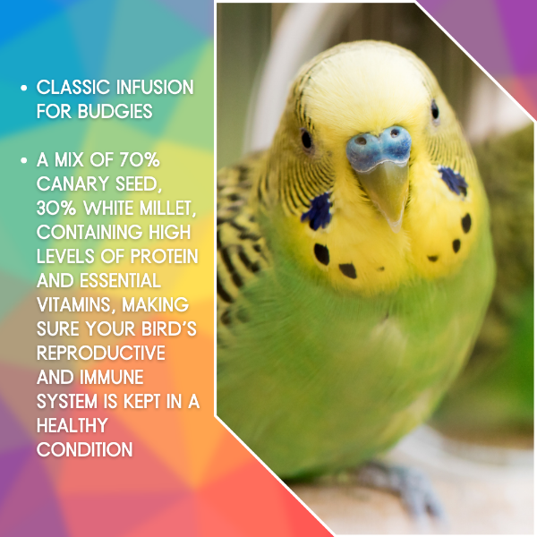 SkyGold Budgie 70/30 20Kg