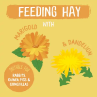 Burgess Excel Herbage Dandelion/Marigold  6 x 1kg