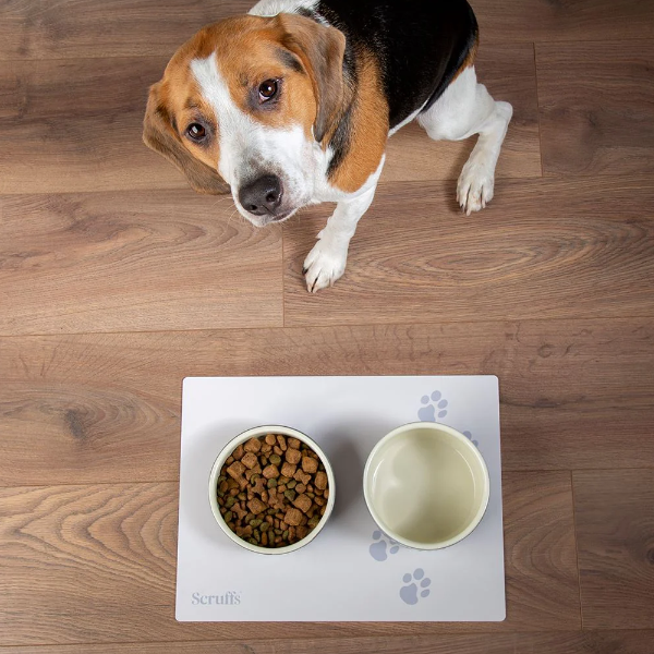 Scruffs 40 x 30cm Pet Placemat Cream  x 6