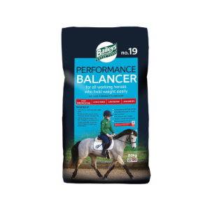 Baileys No. 19 Performance Balancer 20kg