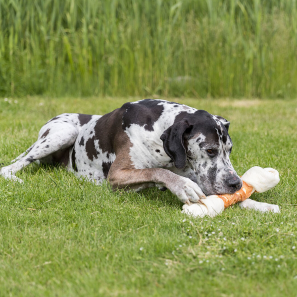 Denta Fun Mega Chicken Chewing Bone 40cm 500g