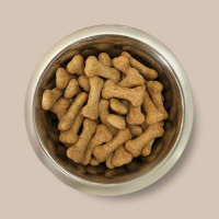 Pointer Gravy Bones Chicken 10kg    FB1855