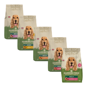 Harringtons Complete Dry Dog Food