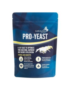 Saracen Pro Yeast 1kg