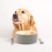 Scruffs Classic Food Bowl 15cm Grey (006)