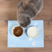 Scruffs 40 x 30cm Pet Placemat Blue x 6