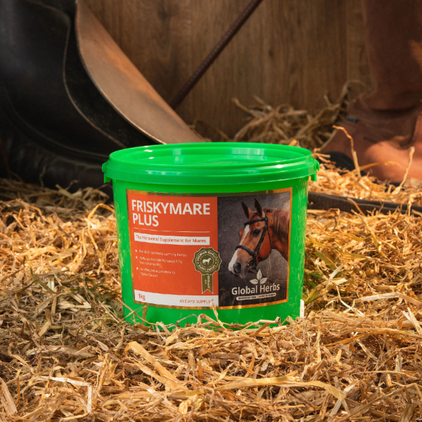 Global Frisky Mare Plus 1kg