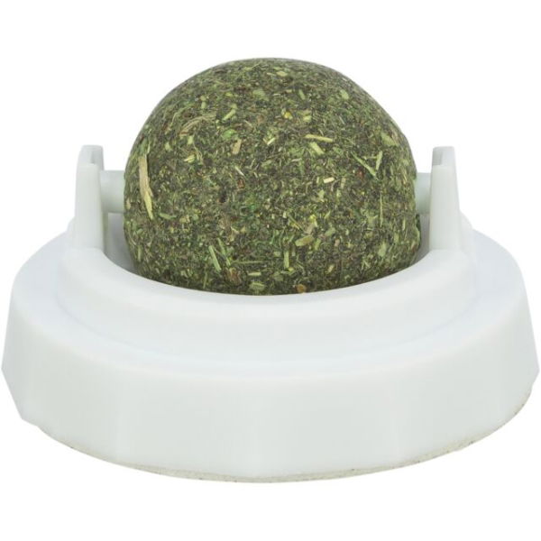 Catnip Ball With Holder (004) S