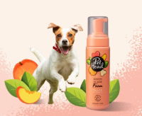 Pet Head Quick Fix Foam 2in1 Shampoo 300ml