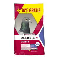 Versele-Laga Gerry Plus I.C. 20kg + 2kg Free