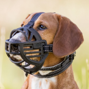 Muzzles