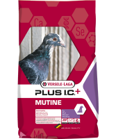 mutine