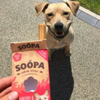 Soopa Dental Sticks: Cranberry & Sweet Potato 100g x 10