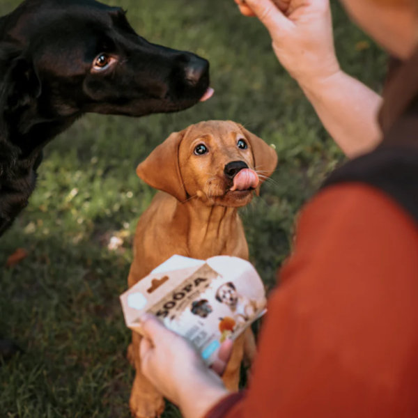 Bites: Puppy Banana & Pumpkin 50g x 10