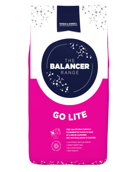 D&H Go Lite Balancer   15kg   S