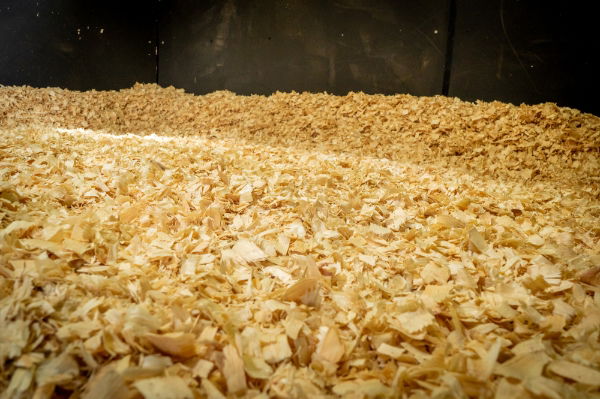 BedMax Shavings 18kg