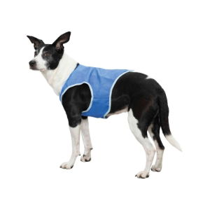 Cooling Vest