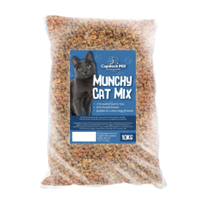 Munchy Cat