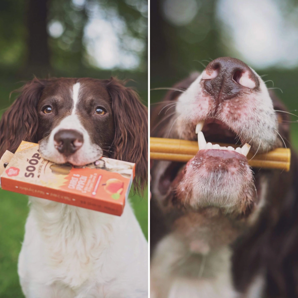 Soopa Dental Sticks: Carrot & Pumpkin sticks 100g x 10