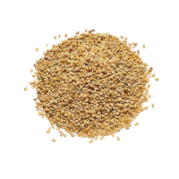 Panicum Millet     20kg