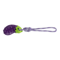 Aubergine On A Rope Tpr 13cm/34cm (003)