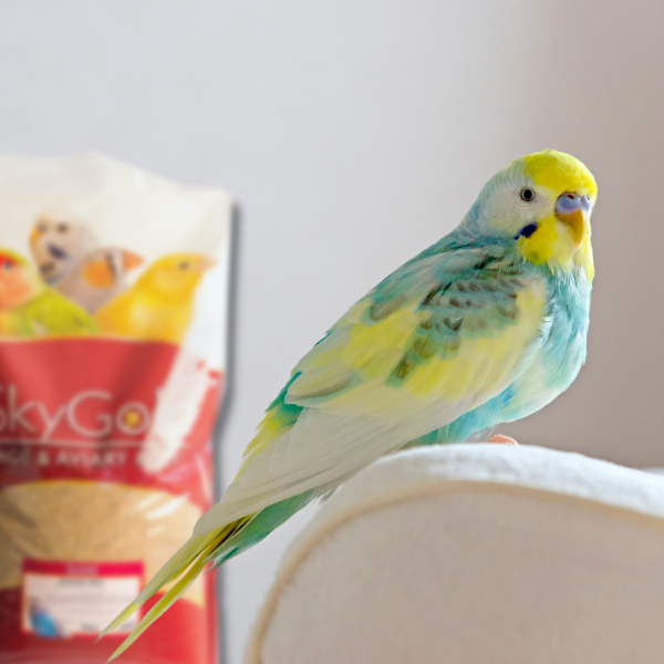 SkyGold Budgie Red 20Kg