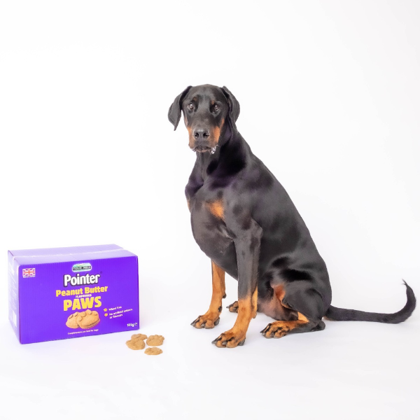 Pointer Peanut Butter Paws 10kg