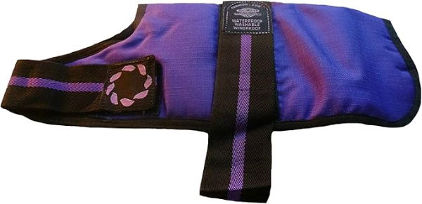 Dog Coat Purple Line 12in 80512    DISC