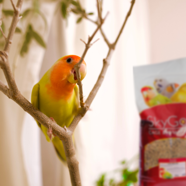 SkyGold Love Bird Mix 20Kg