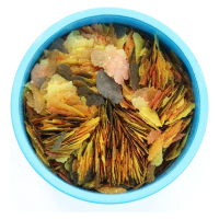 Aquarian Tropical Fish Flake 25g 105559 (012)