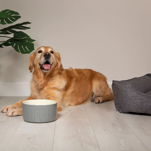 Scruffs Classic Water Bowl 20cm Grey