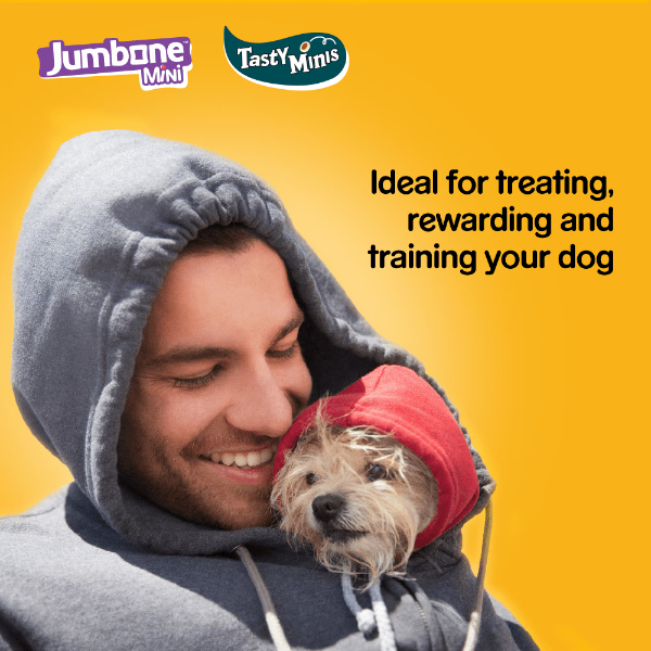 Pedigree Tasty Mini`s & Jumbone Bulk 740gm 409717