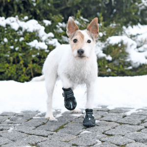 Dog Boots & Socks