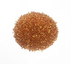 Red Millet 20kg