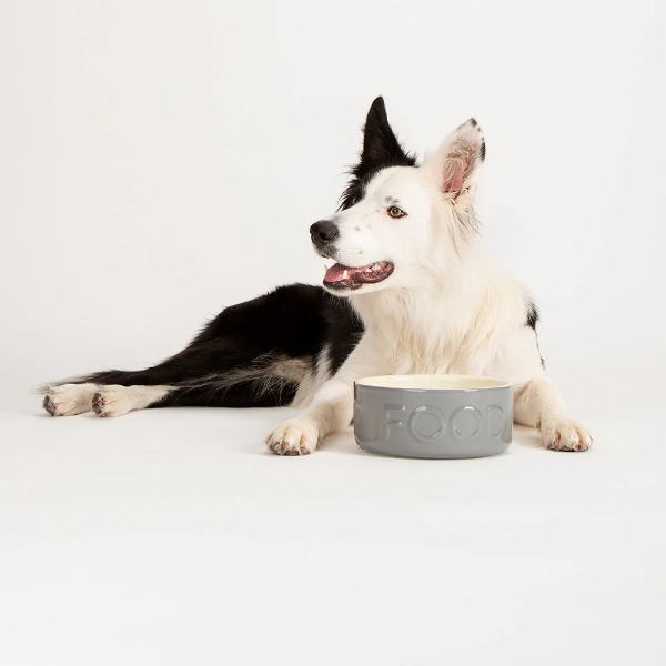 Scruffs Classic Food Bowl 19cm Grey (006)