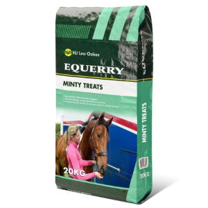 Equerry Minty Horse Treats  20kg