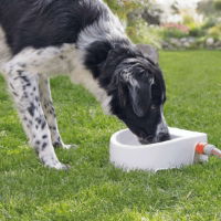 Automatic Outdoor Water Trough 1,5 l/24x10x23 cm, white