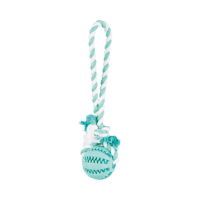 Denta Fun Natural Rubber Ball On A Rope  7cm/24cm