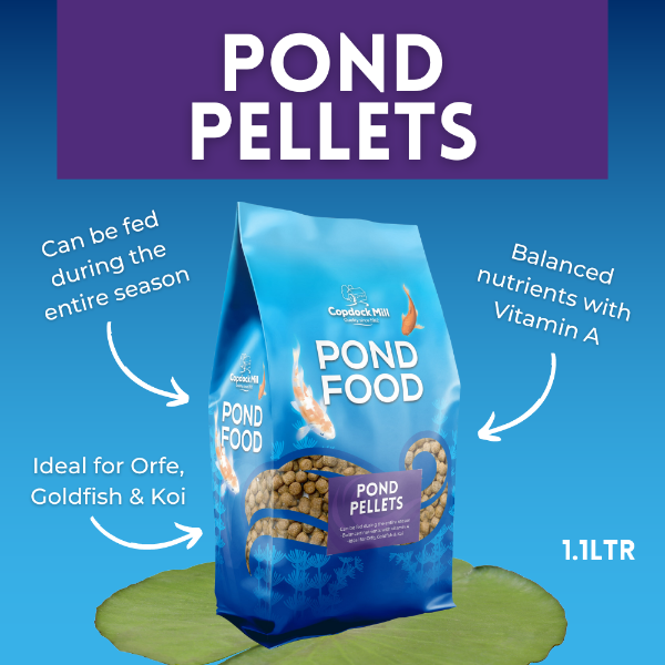 CM Pond Food Pond Pellets 550g