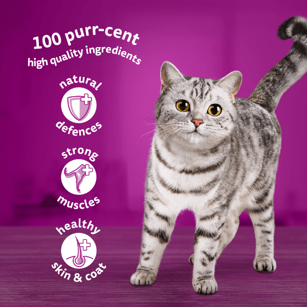 Whiskas Cat Pouch 1+ Meaty/Meals In Gravy 4x12x85g 449064/DD