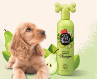 Pet Head Mucky Puppy Shampoo 300ml