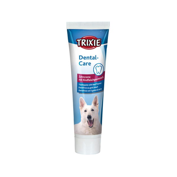 Beef Flavor Toothpaste Dog 100G