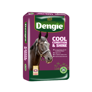 Dengie Cool, Condition & Shine 20kg