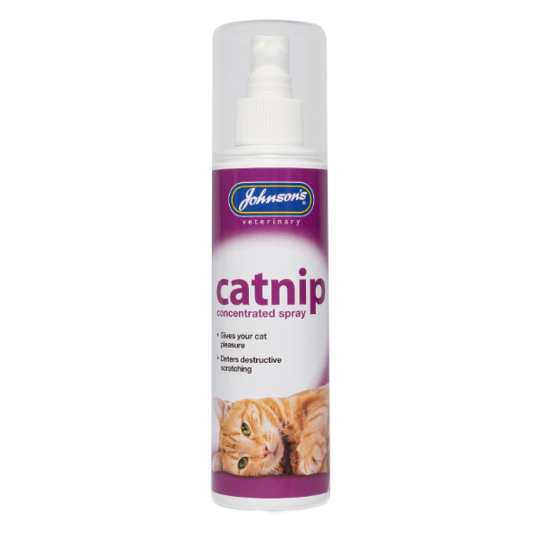 Cat Nip Spray 150ml x6