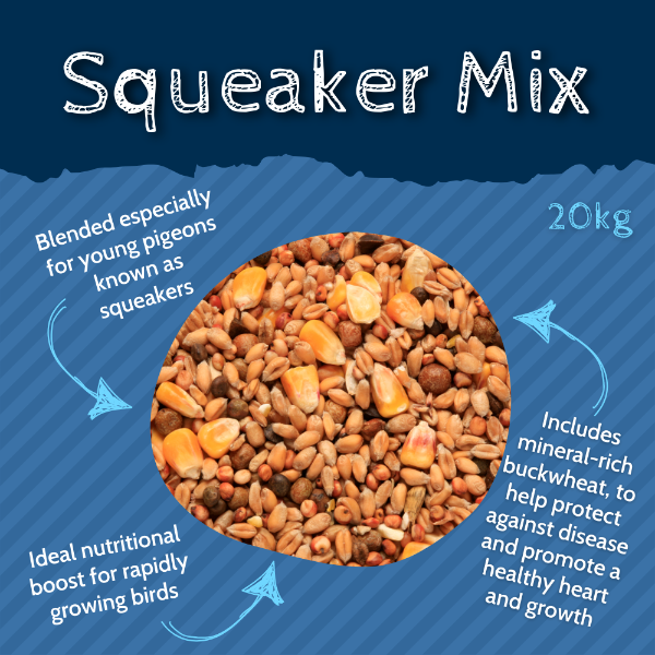 Copdock Mill Squeaker Pigeon Mix 20kg